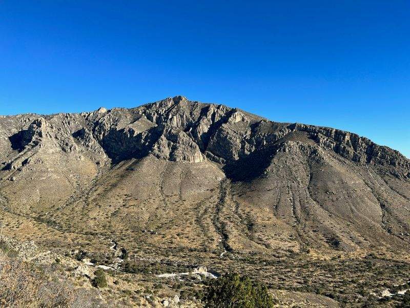 ショッピングガイド